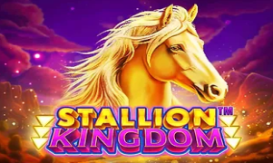 Stallion Kingdom (Just For The Win)