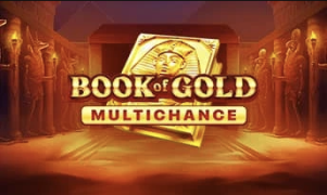 Book Of Gold: Multichance (Playson)