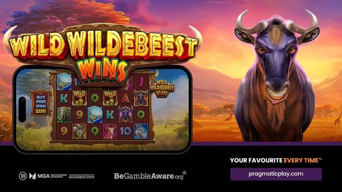 Wild Wildebeest Wins (Pragmatic Play)